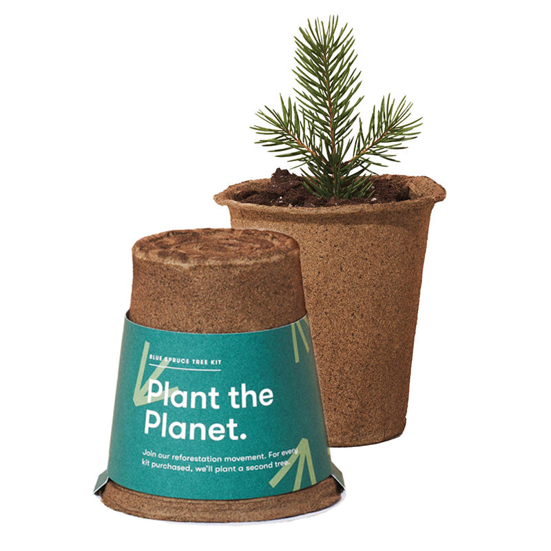 Tree Kit Modern Sprout