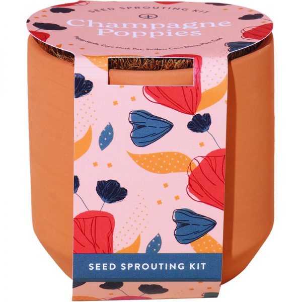 Tiny Terracotta Planter Kit Modern Sprout