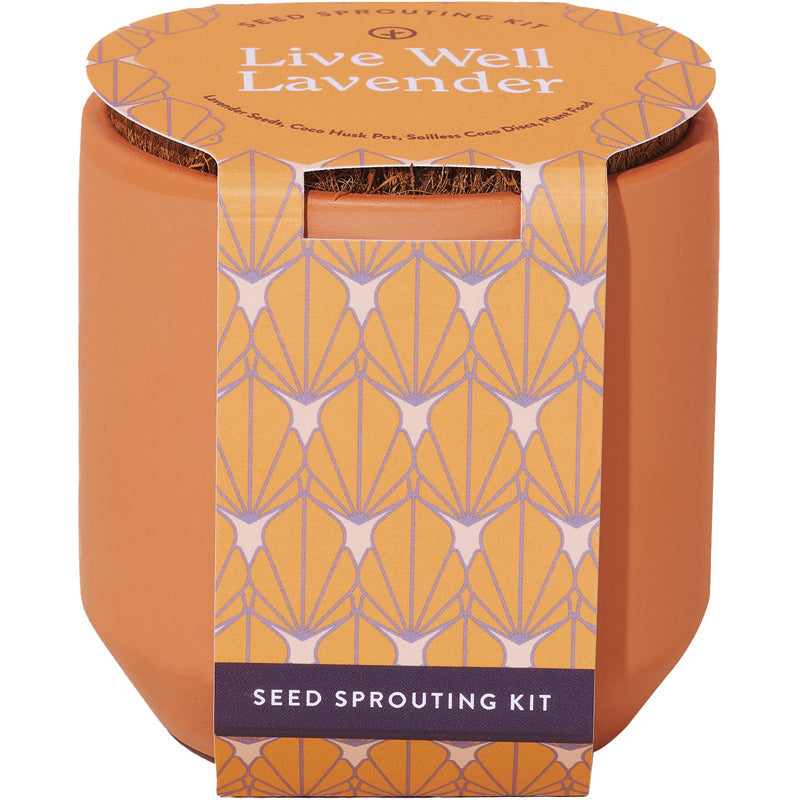 Tiny Terracotta Planter Kit Modern Sprout