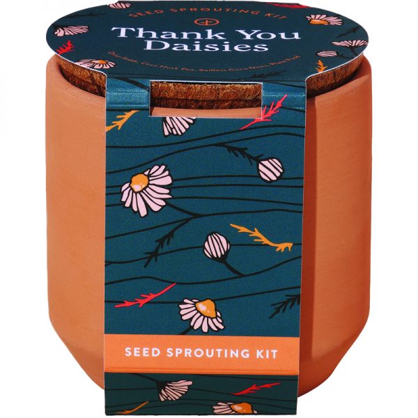 Tiny Terracotta Planter Kit Modern Sprout