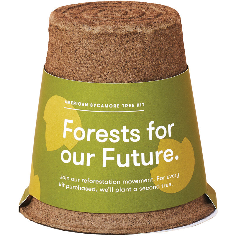 Tree Kit Modern Sprout