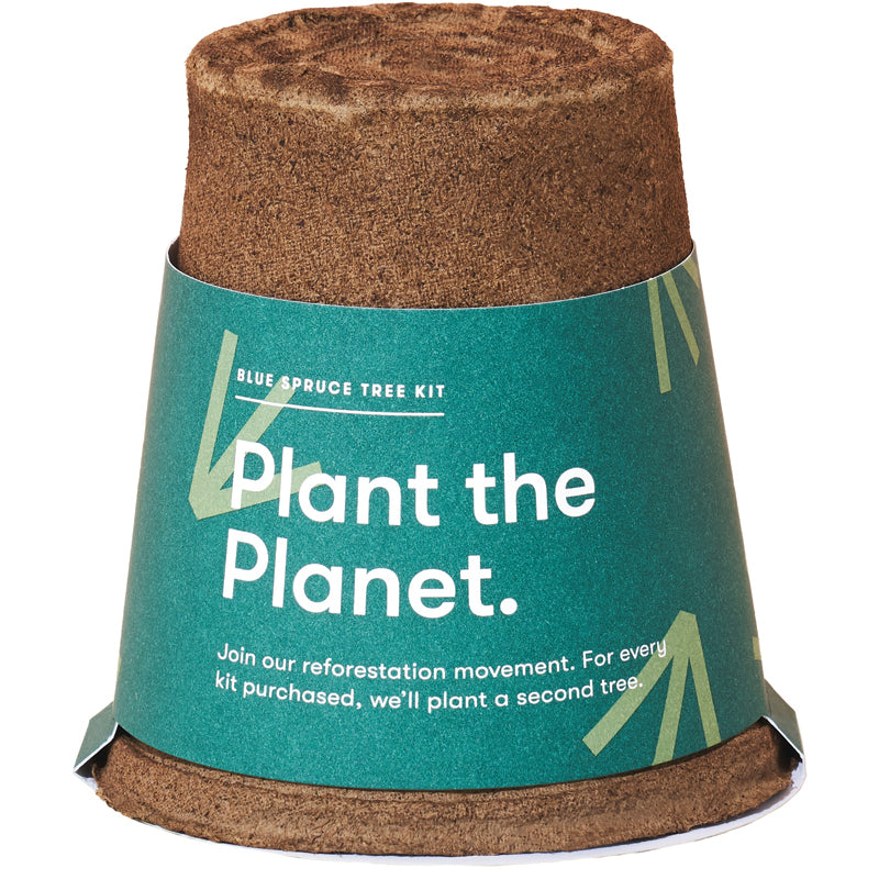 Tree Kit Modern Sprout