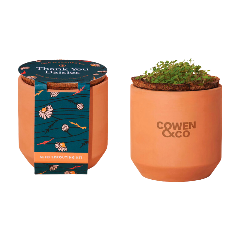 Tiny Terracotta Planter Kit Modern Sprout
