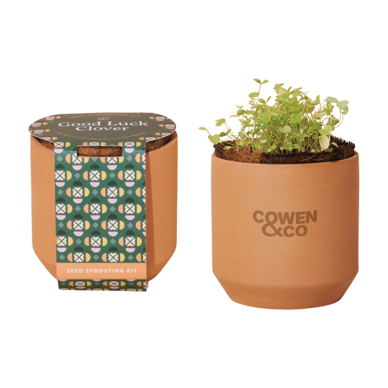Tiny Terracotta Planter Kit Modern Sprout