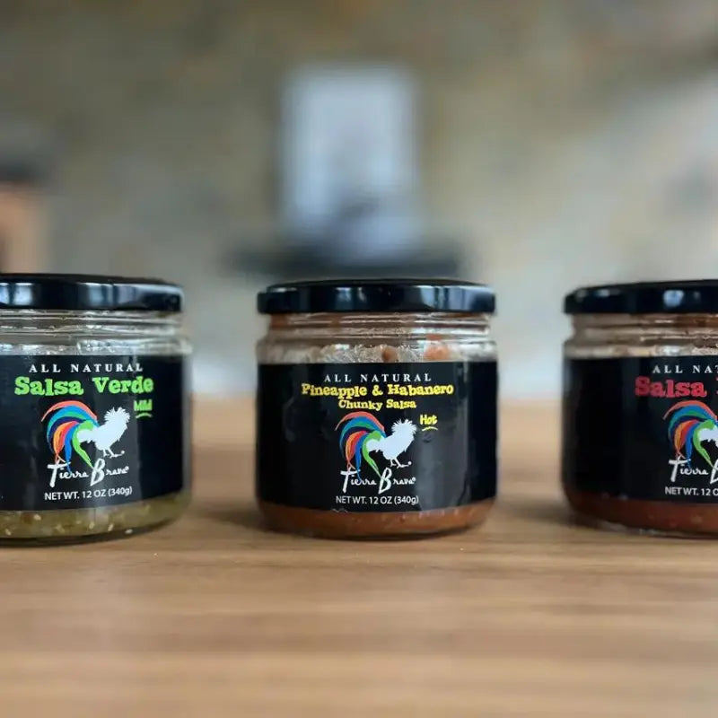 Salsa Tasting Set - 3 Salsa and Ceramic Tasting Dish Verve Culture