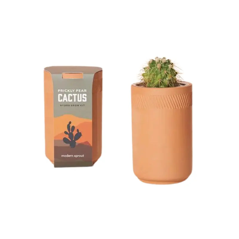 Terracotta Grow Kits Modern Sprout