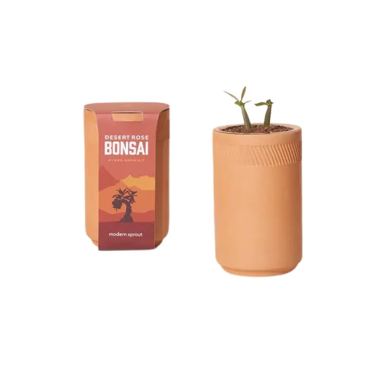 Terracotta Grow Kits Modern Sprout