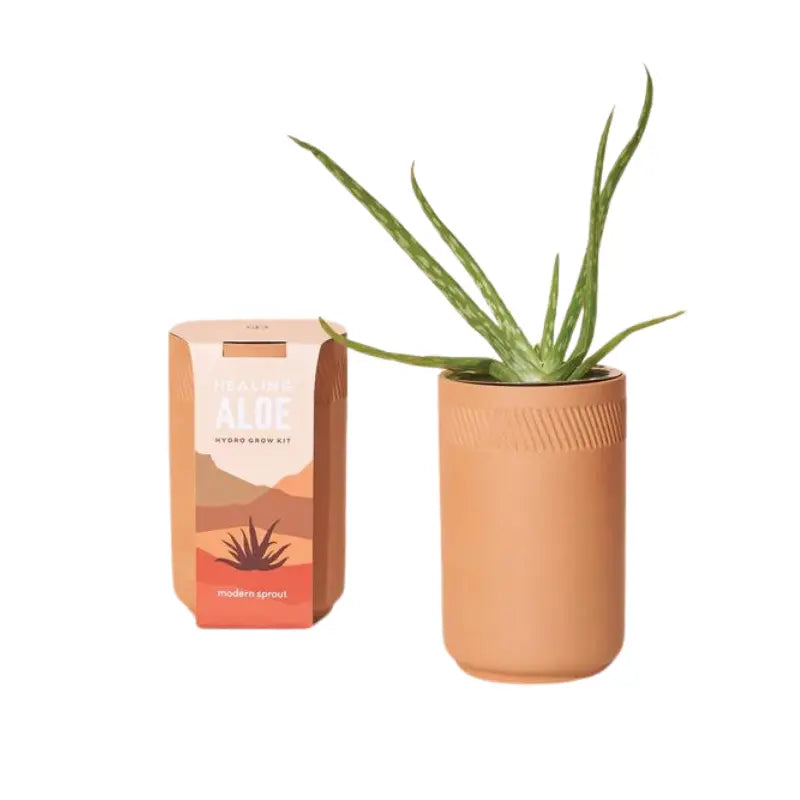 Terracotta Grow Kits Modern Sprout