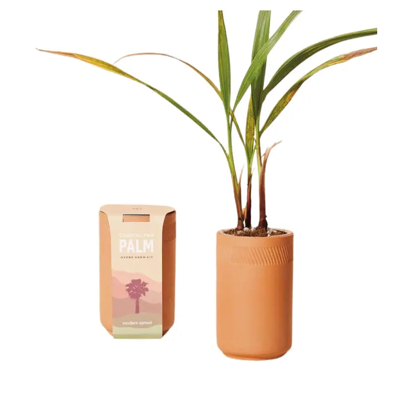 Terracotta Grow Kits Modern Sprout