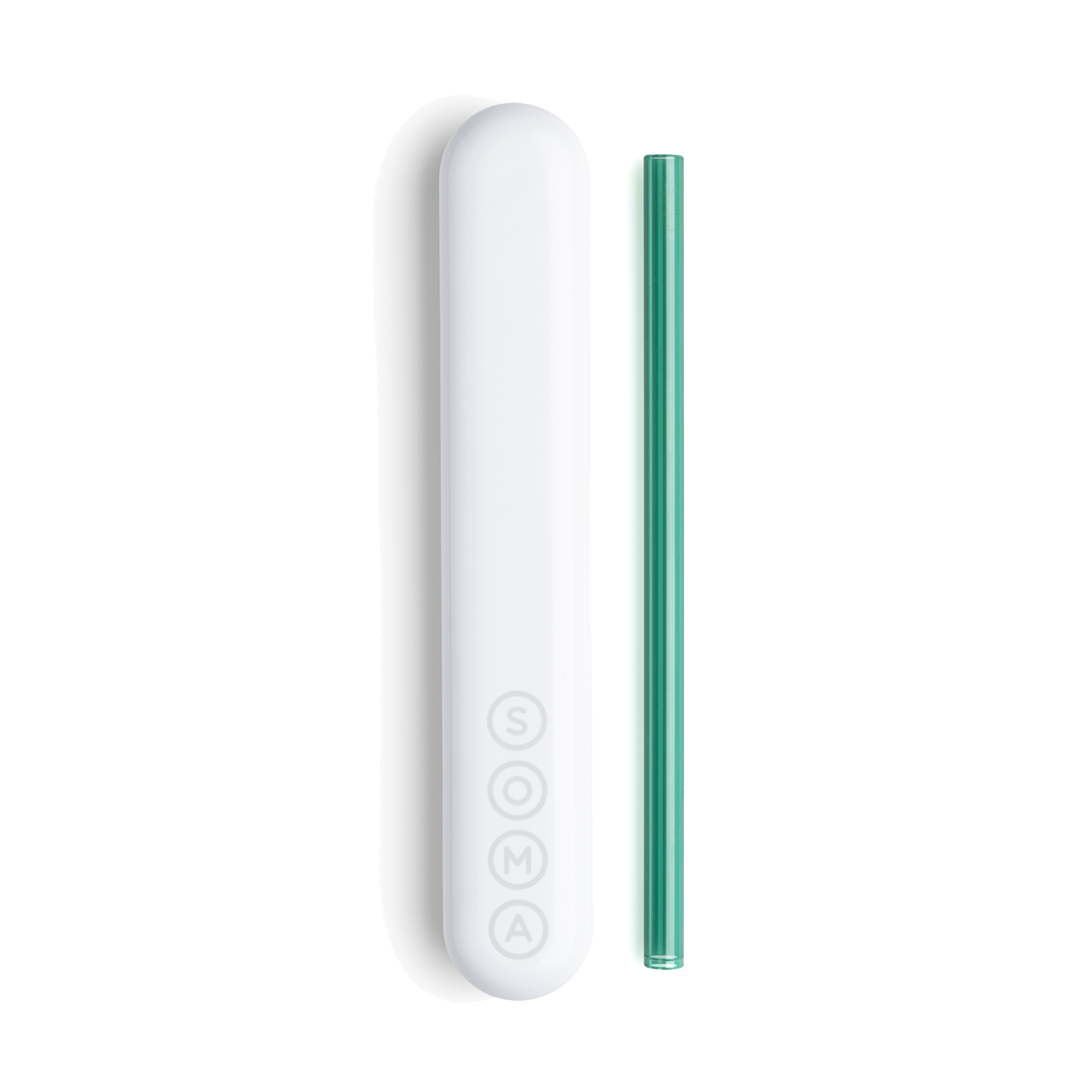 Glass Straw with Travel Case Soma