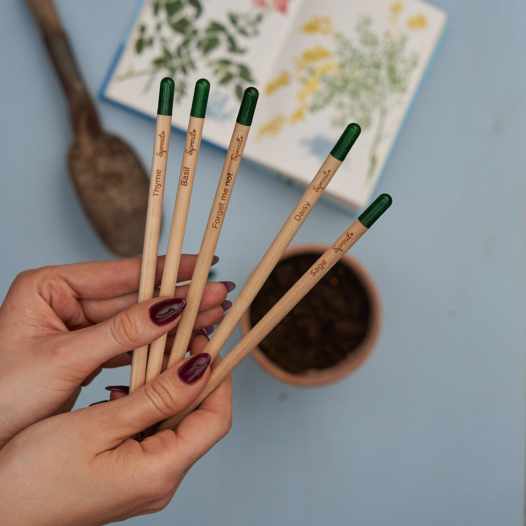 Plantable Pencils - Single Pencil with Customized Card - EarthHero Corporate Gifting and Custom Swag
