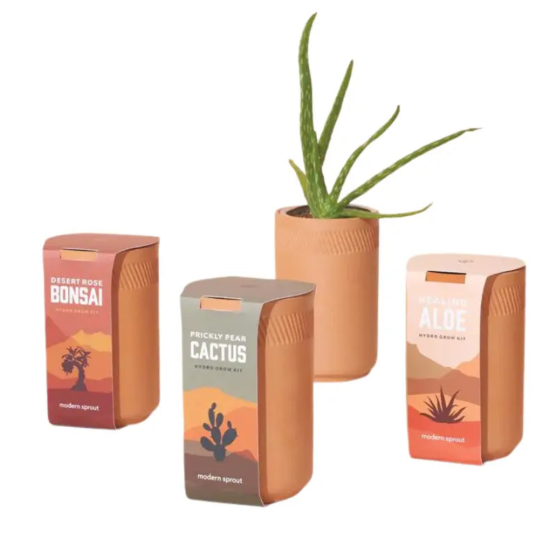 Terracotta Grow Kits Modern Sprout