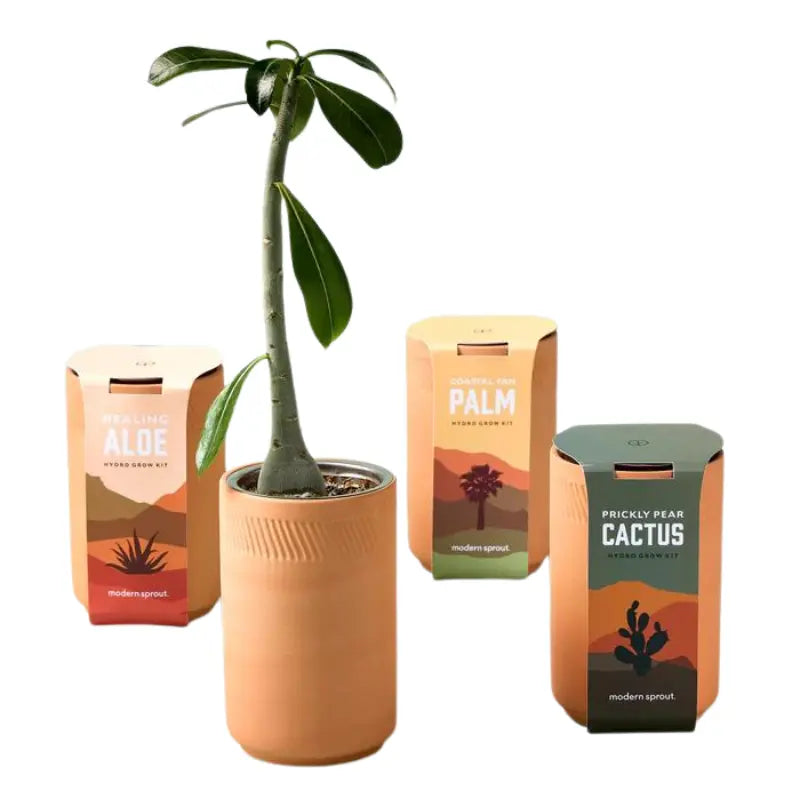 Terracotta Grow Kits Modern Sprout