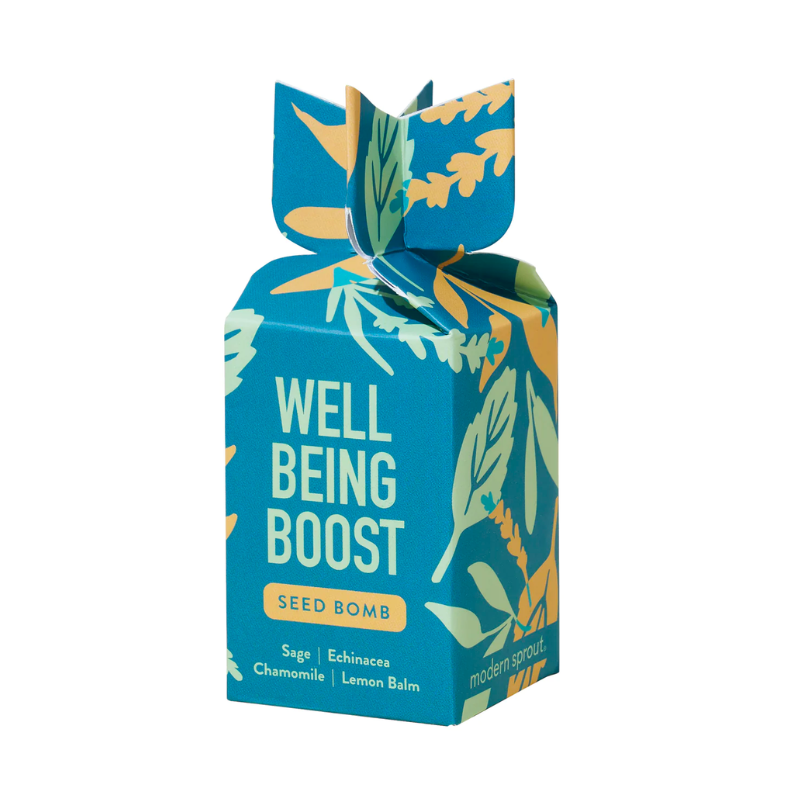 Seed Bombs Modern Sprout