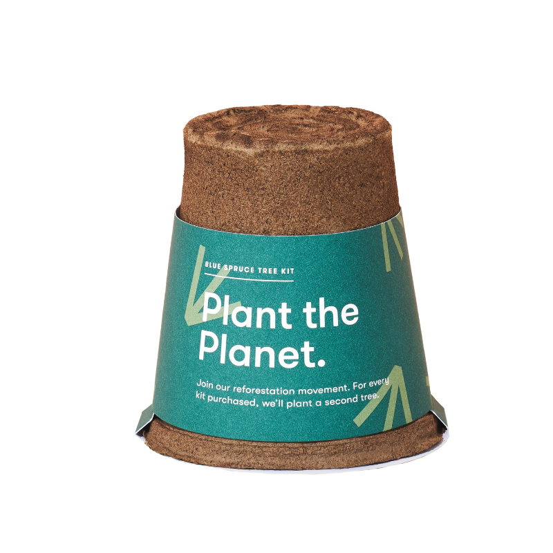 Tree Kit Modern Sprout