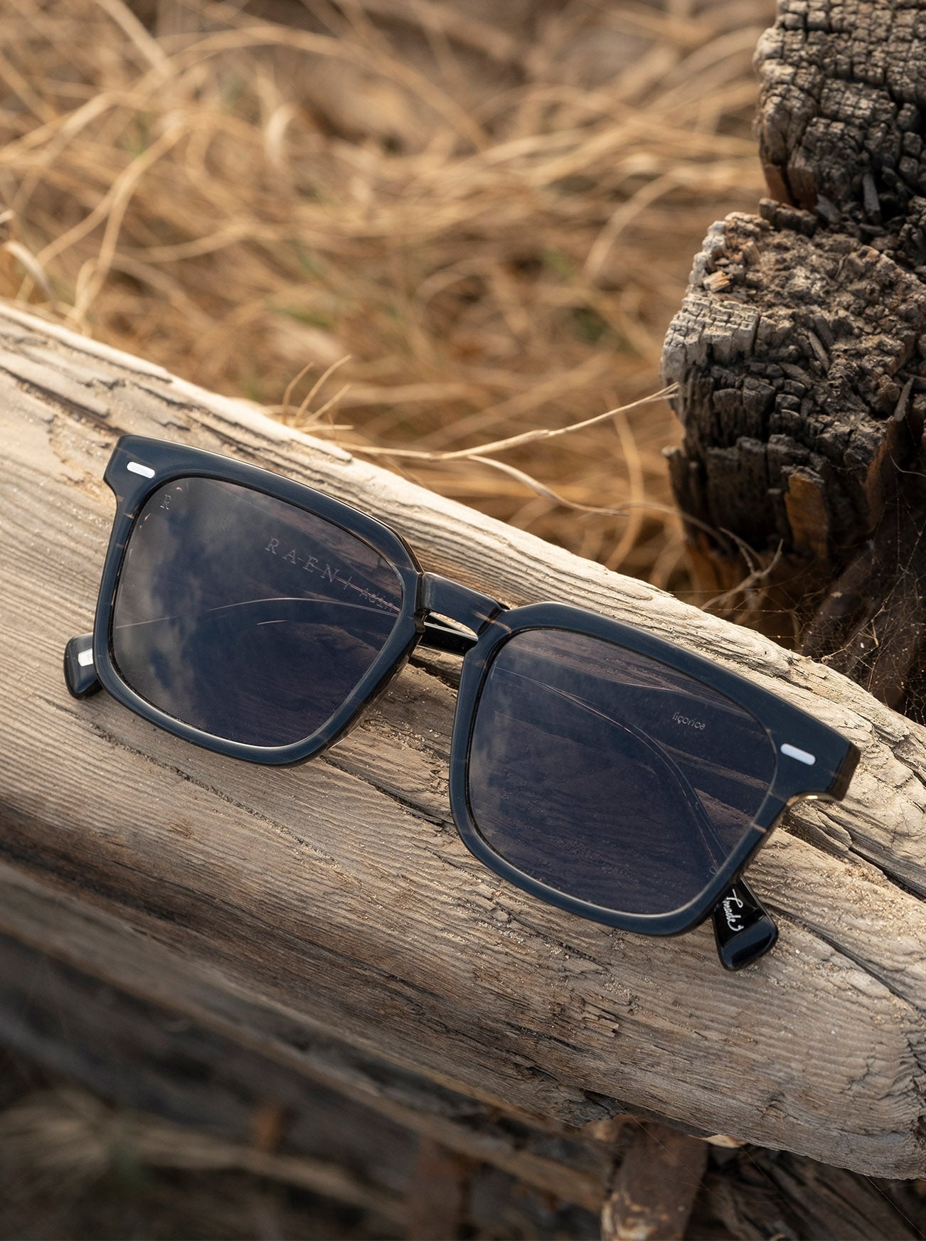 Adin Polarized Raen Optics
