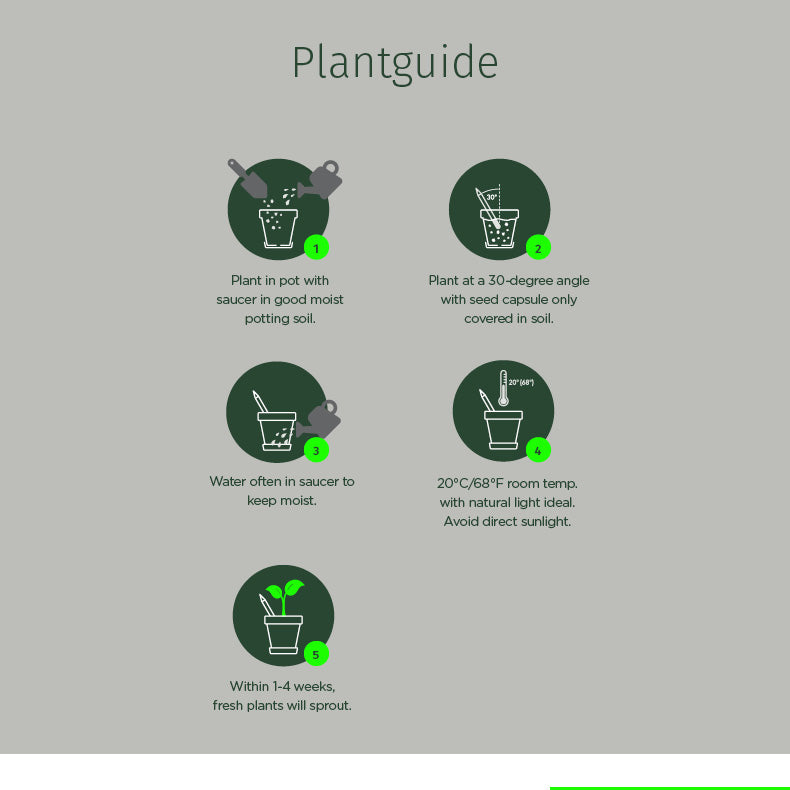 Plantable Pencils - Single Pencil - EarthHero Corporate Gifting and Custom Swag