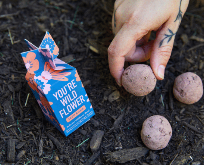 Seed Bombs Modern Sprout