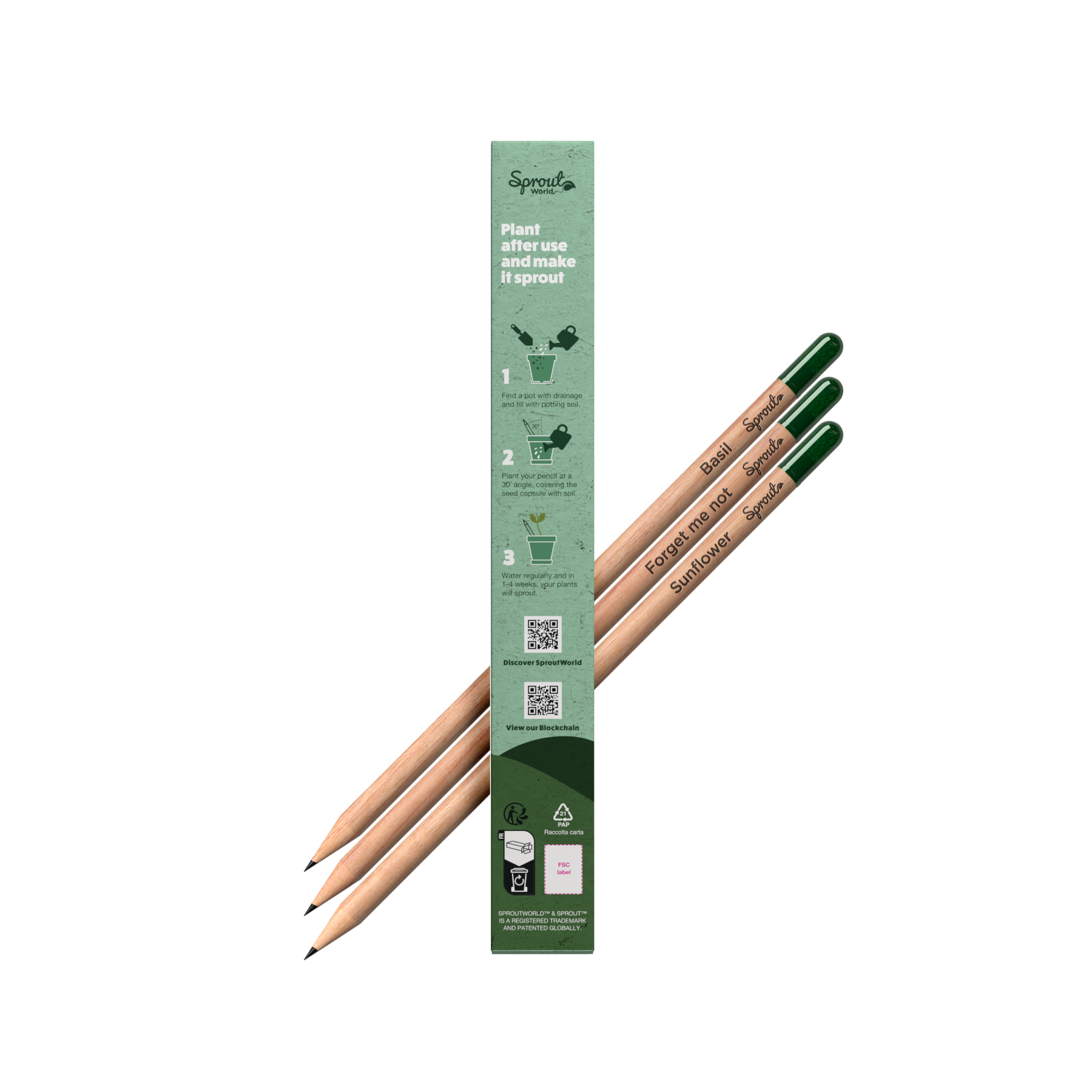 Plantable Pencils - 3-Pack with Customized Box - EarthHero Corporate Gifting and Custom Swag
