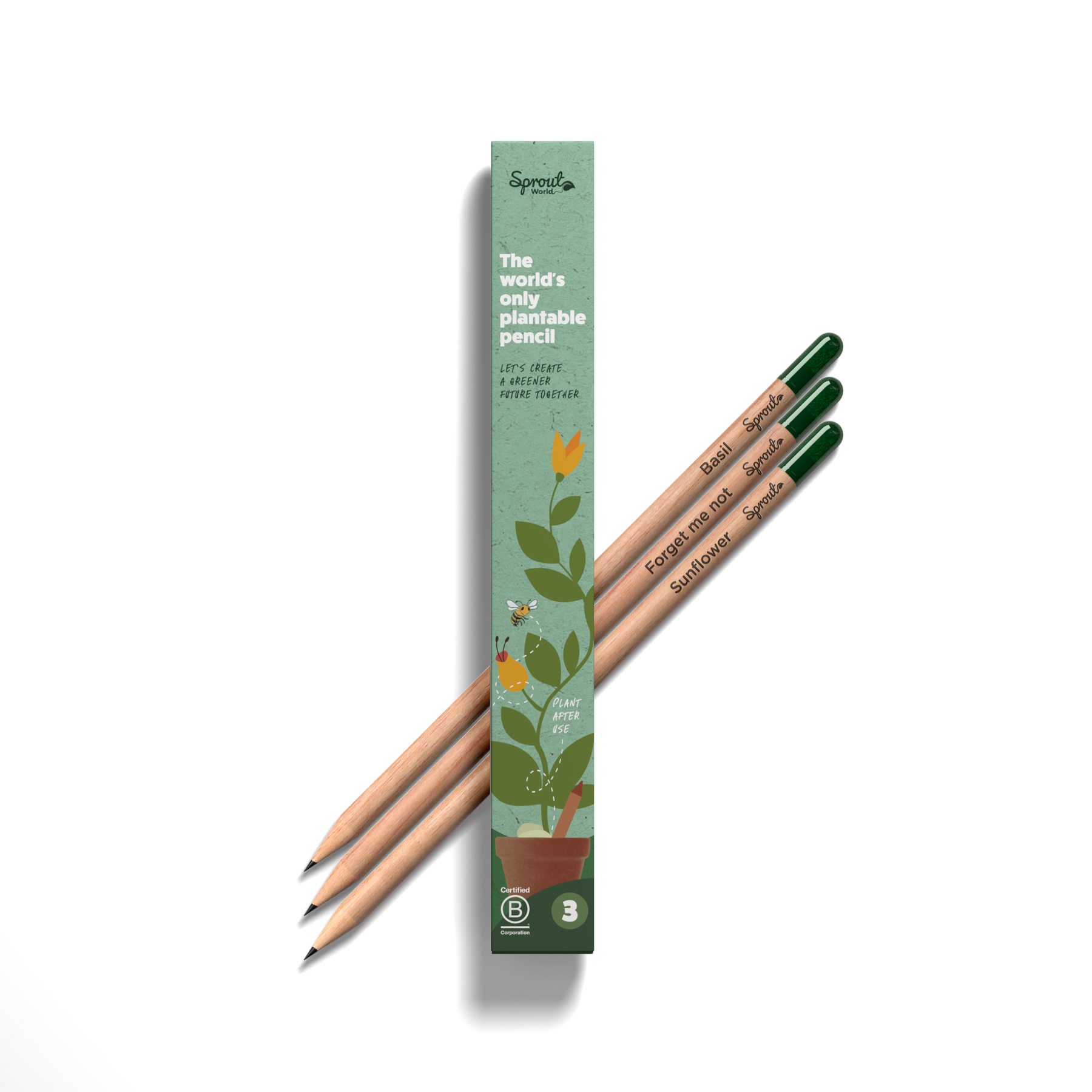 Plantable Pencils - 3-Pack with Customized Box - EarthHero Corporate Gifting and Custom Swag