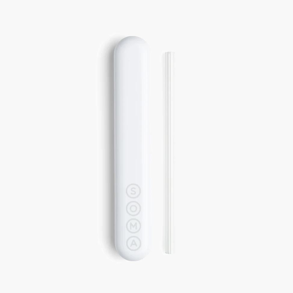 Glass Straw with Travel Case Soma