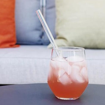 Glass Straw with Travel Case Soma