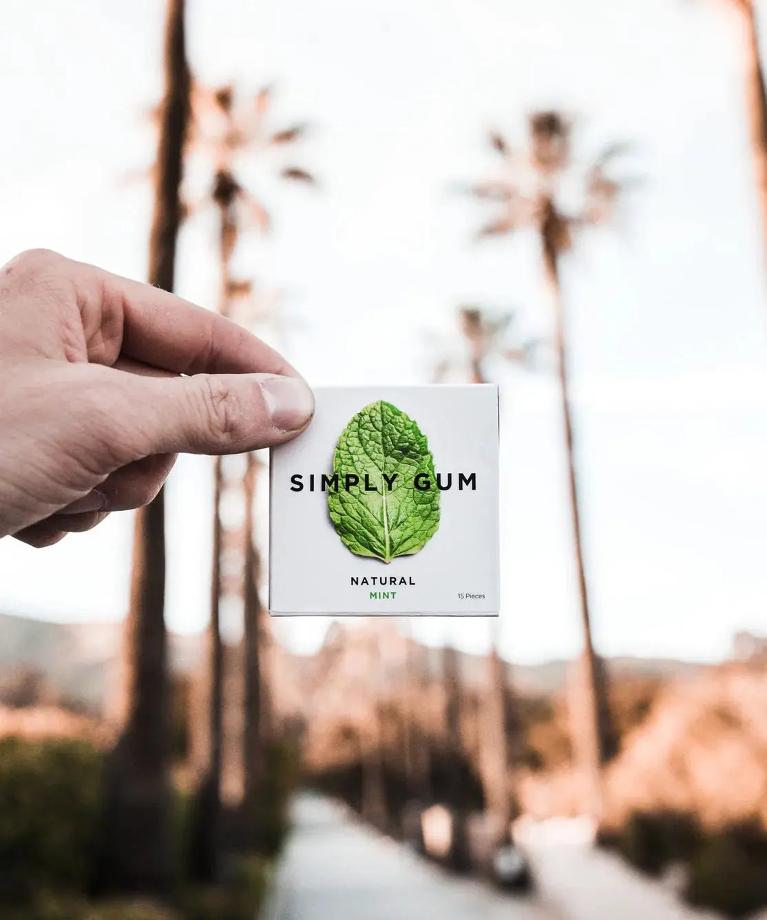 Natural Chewing Gum - EarthHero Corporate Gifting and Custom Swag