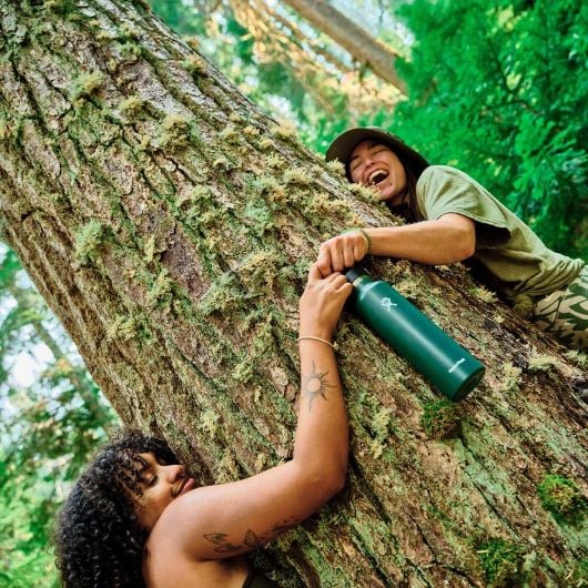 Standard Mouth Water Bottle 24oz Hydro Flask