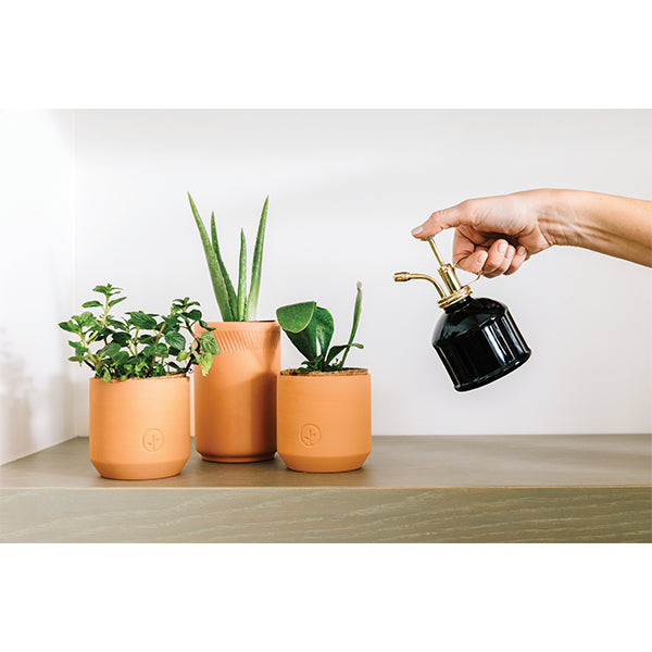 Tiny Terracotta Planter Kit Modern Sprout