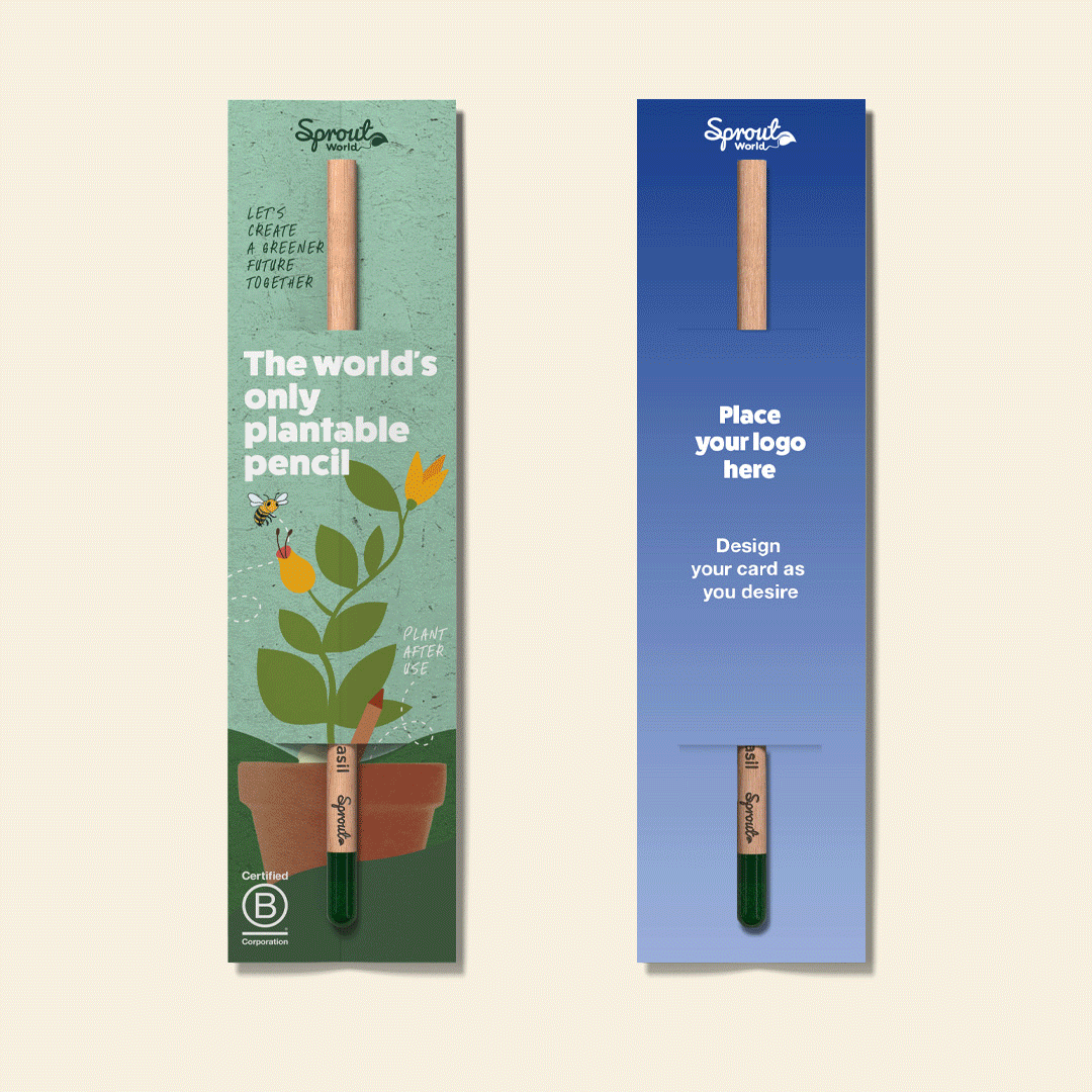Plantable Pencils - 3-Pack with Customized Box - EarthHero Corporate Gifting and Custom Swag