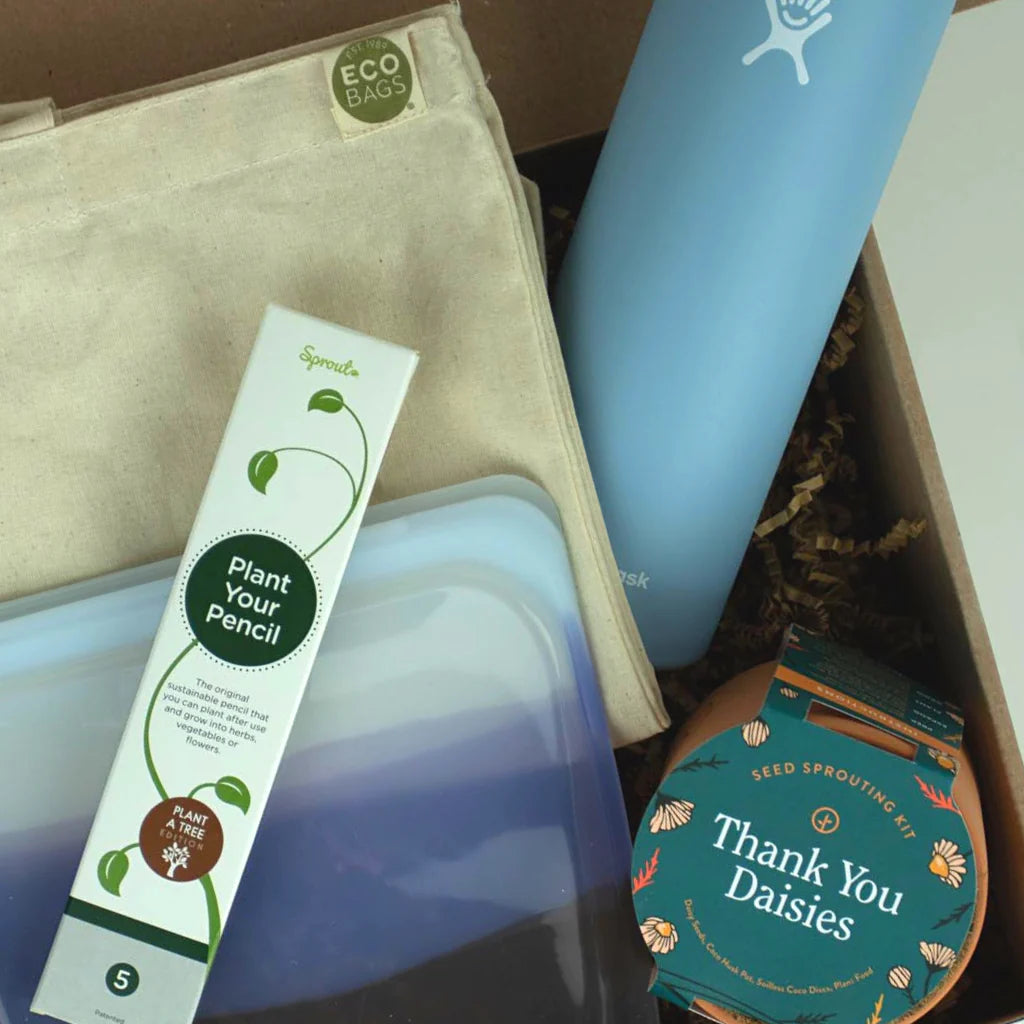 Elevate Workplace Morale with Sustainable Employee Gift Boxes from EarthHero Corporate Gifting
