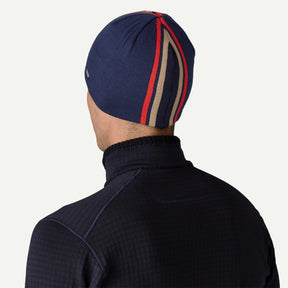 Patagonia Beanie Hat