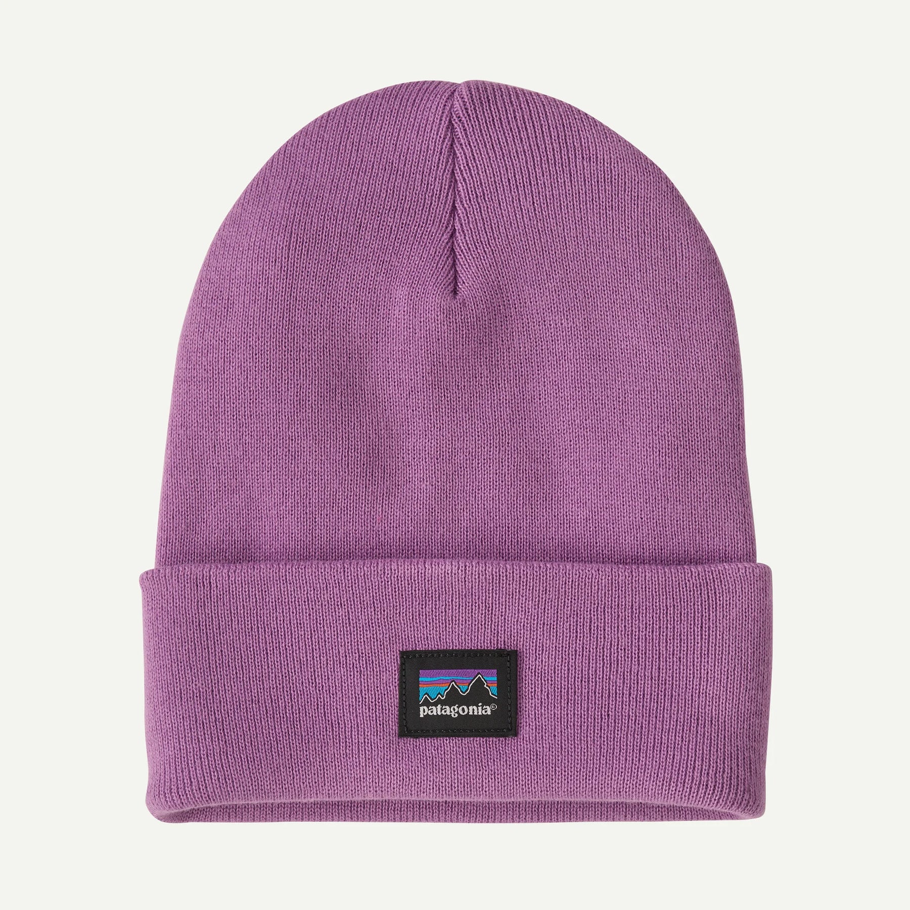 Patagonia Everyday Beanie