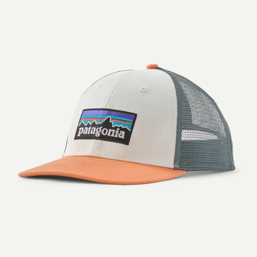 Patagonia P-6 Logo LoPro Trucker Hat Patagonia