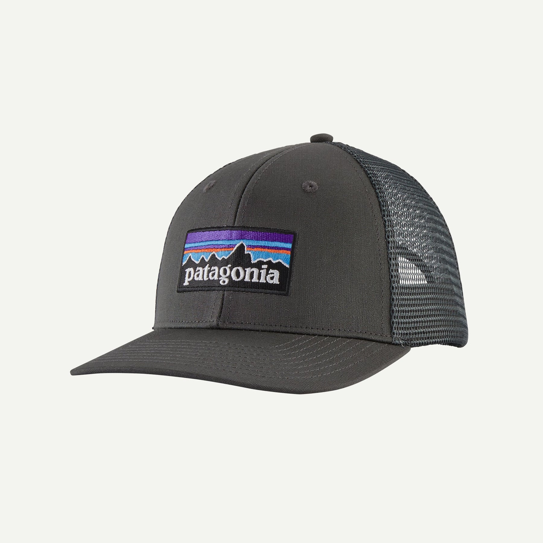 Patagonia P-6 Logo Trucker Hat Patagonia