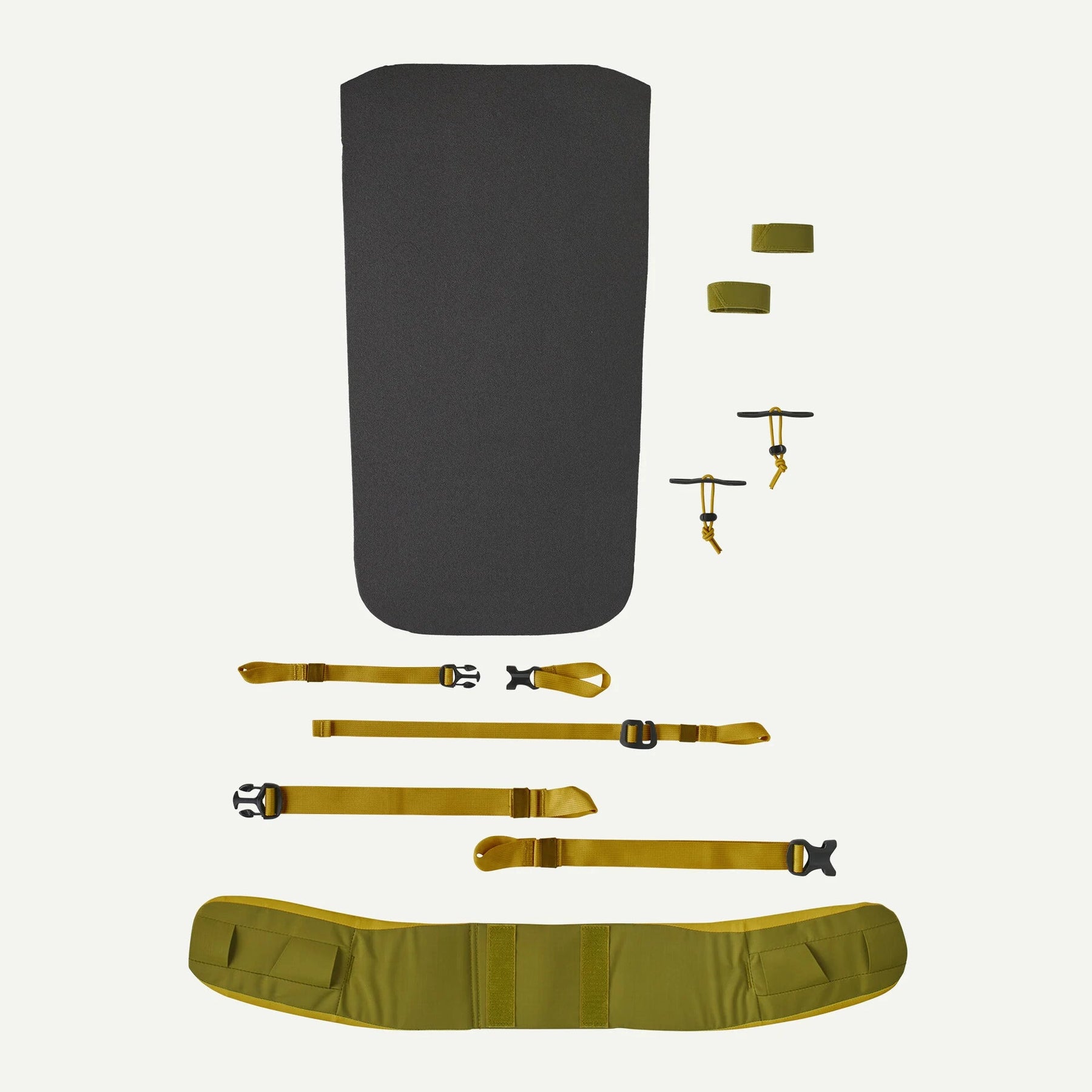 Patagonia Ascensionist Pack 35L Patagonia