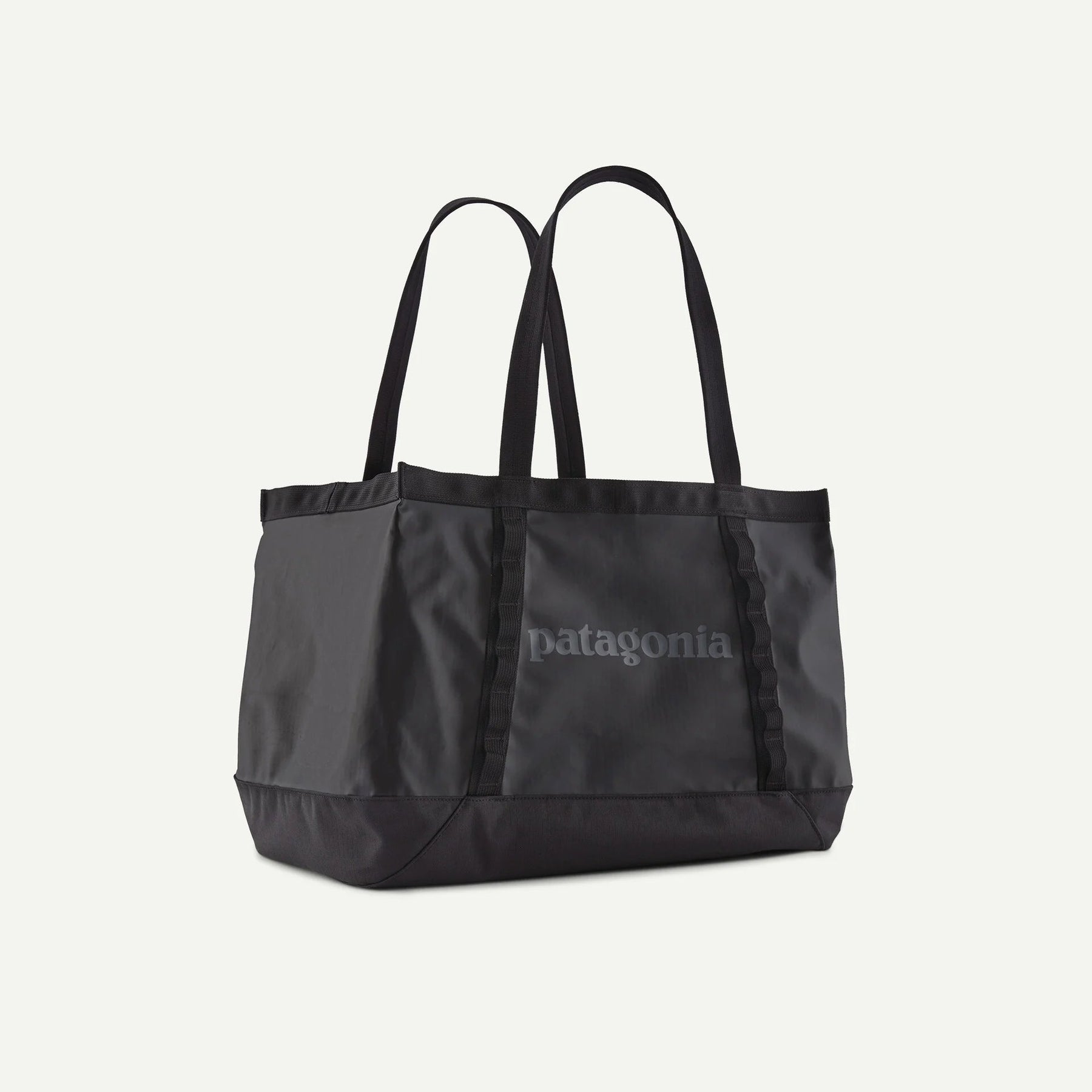 Patagonia Black Hole® Tote 25L Patagonia