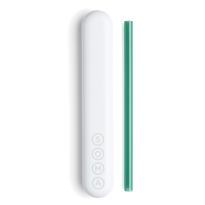 Glass Straw with Travel Case Soma