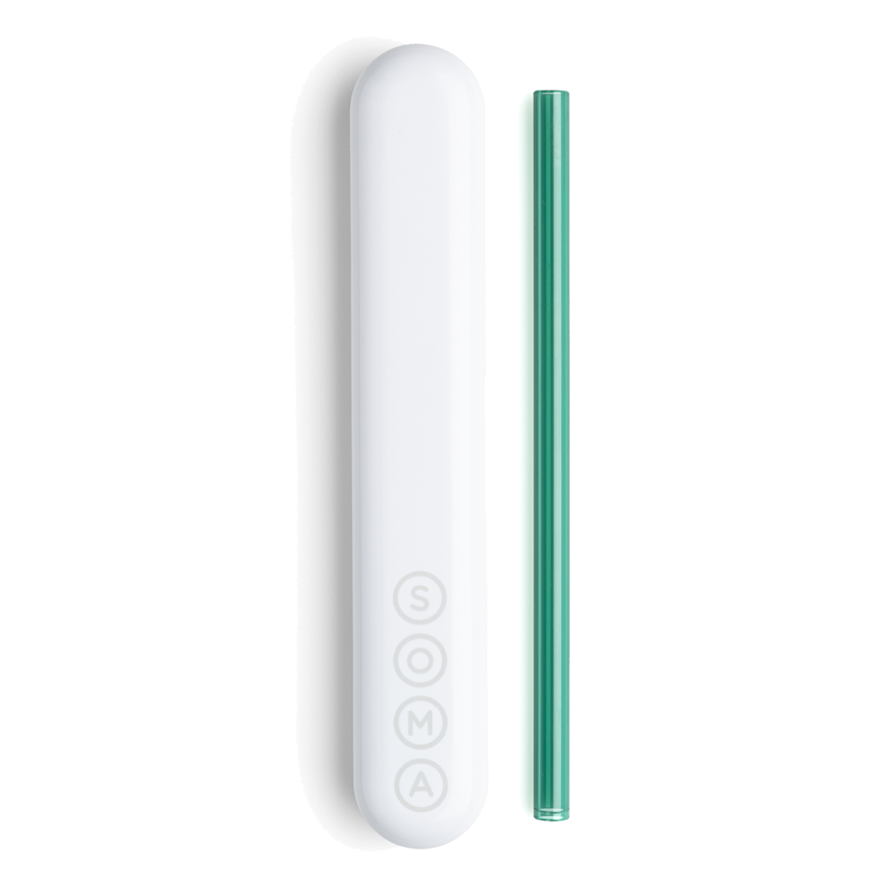 Glass Straw with Travel Case Soma