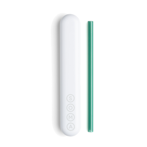 Glass Straw with Travel Case Soma