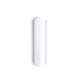 Glass Straw with Travel Case Soma