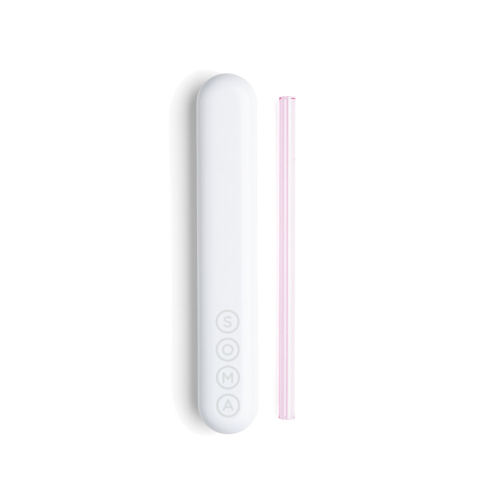 Glass Straw with Travel Case Soma