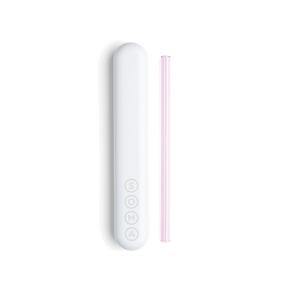 Glass Straw with Travel Case Soma