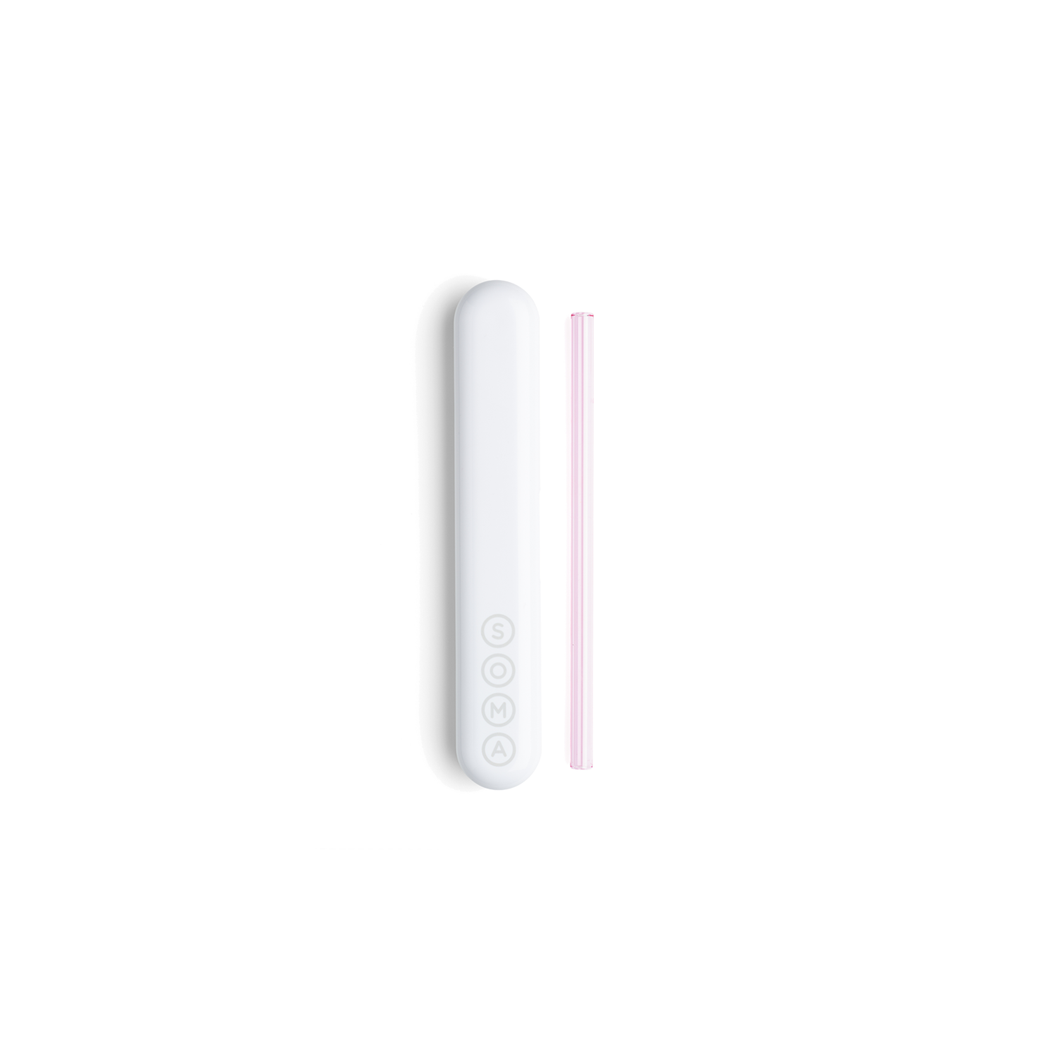 Glass Straw with Travel Case Soma