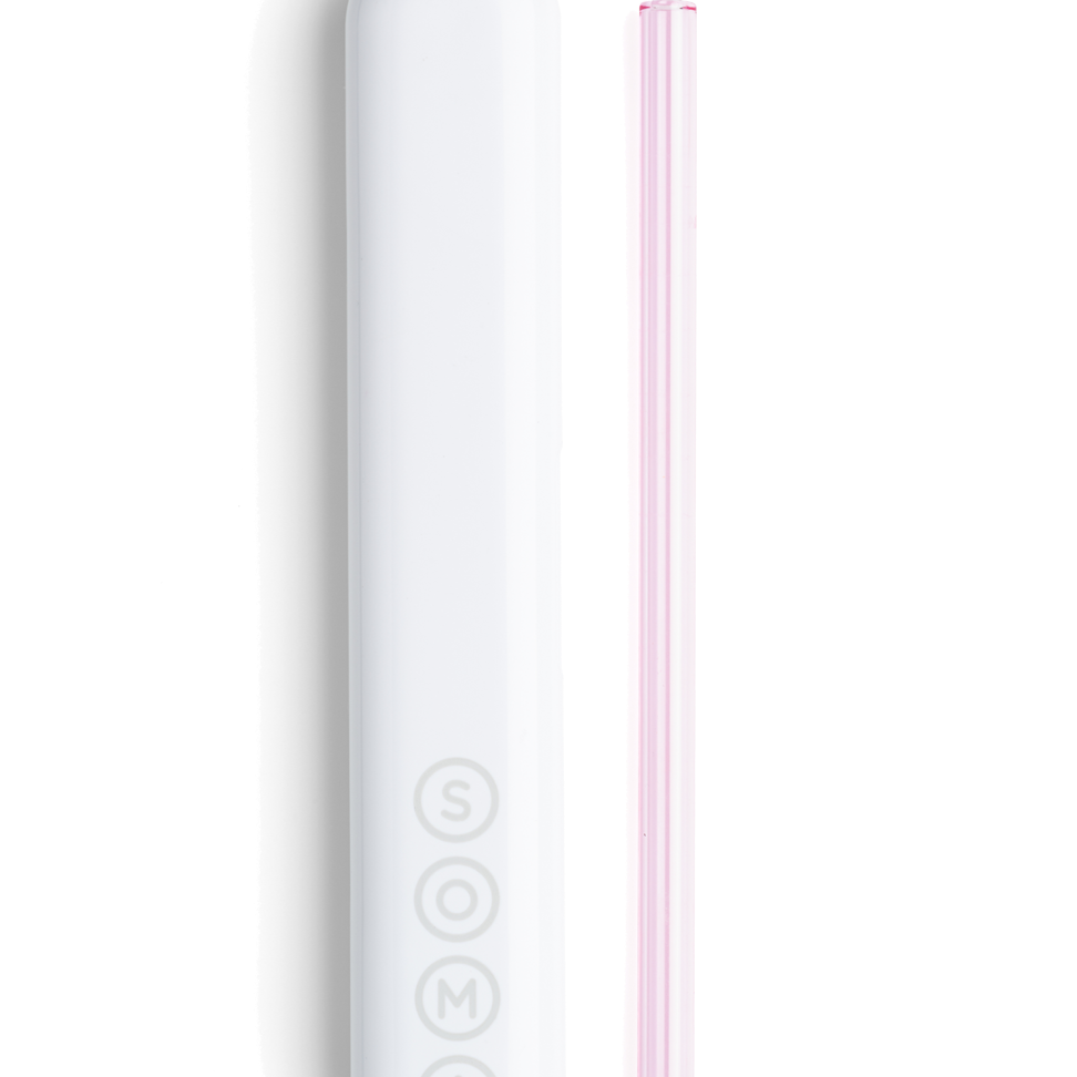 Glass Straw with Travel Case Soma