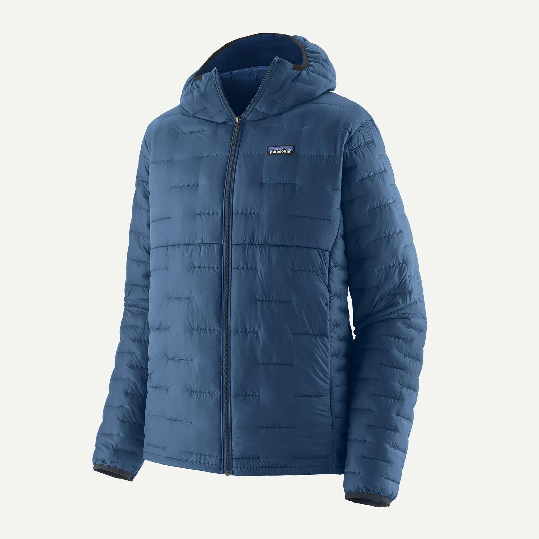 Patagonia M's Micro Puff® Hoody Patagonia
