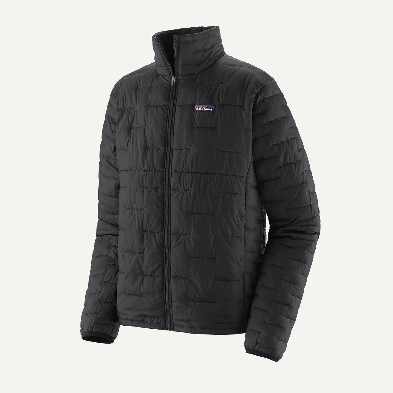 Patagonia M's Micro Puff® Jacket