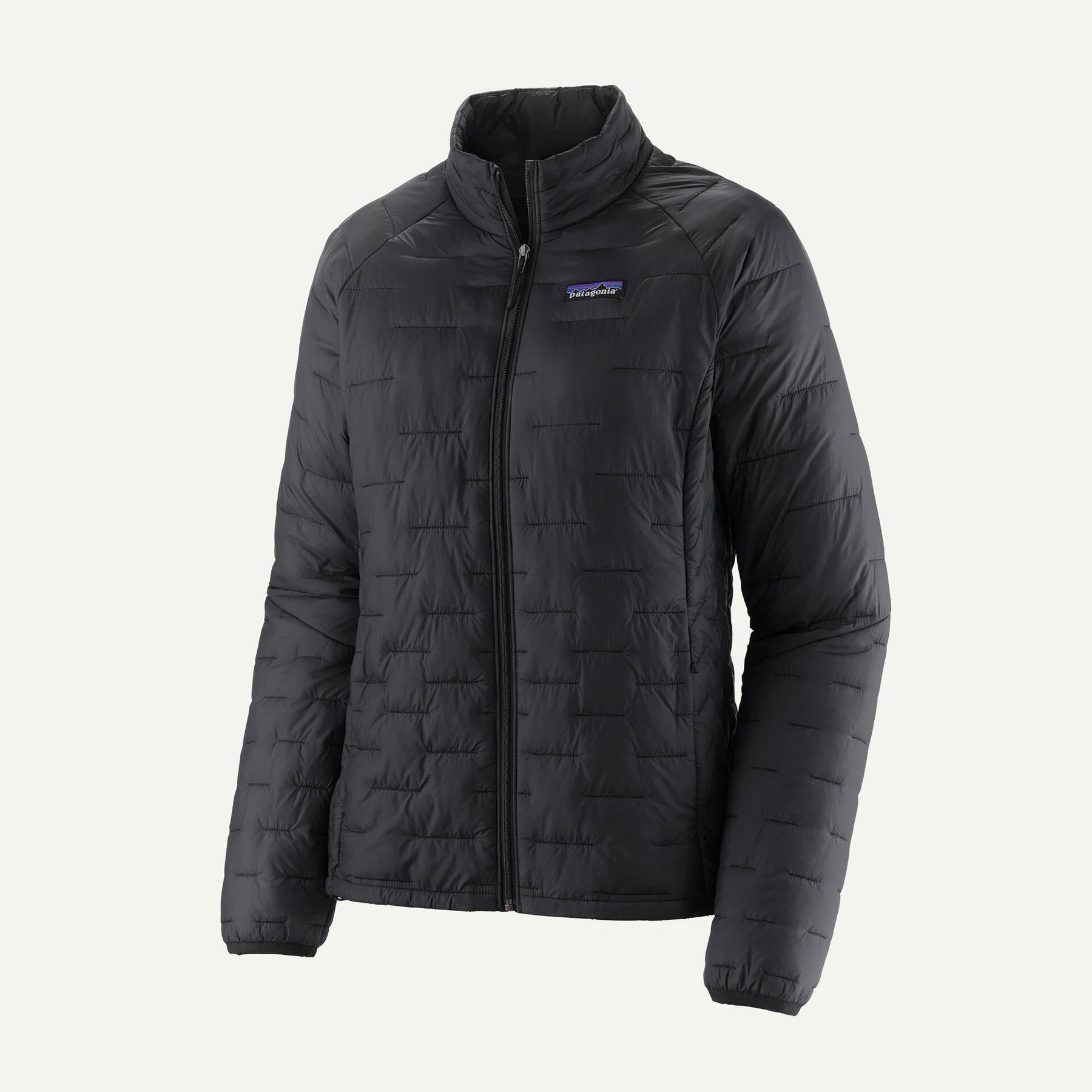 Patagonia W's Micro Puff® Jacket Patagonia