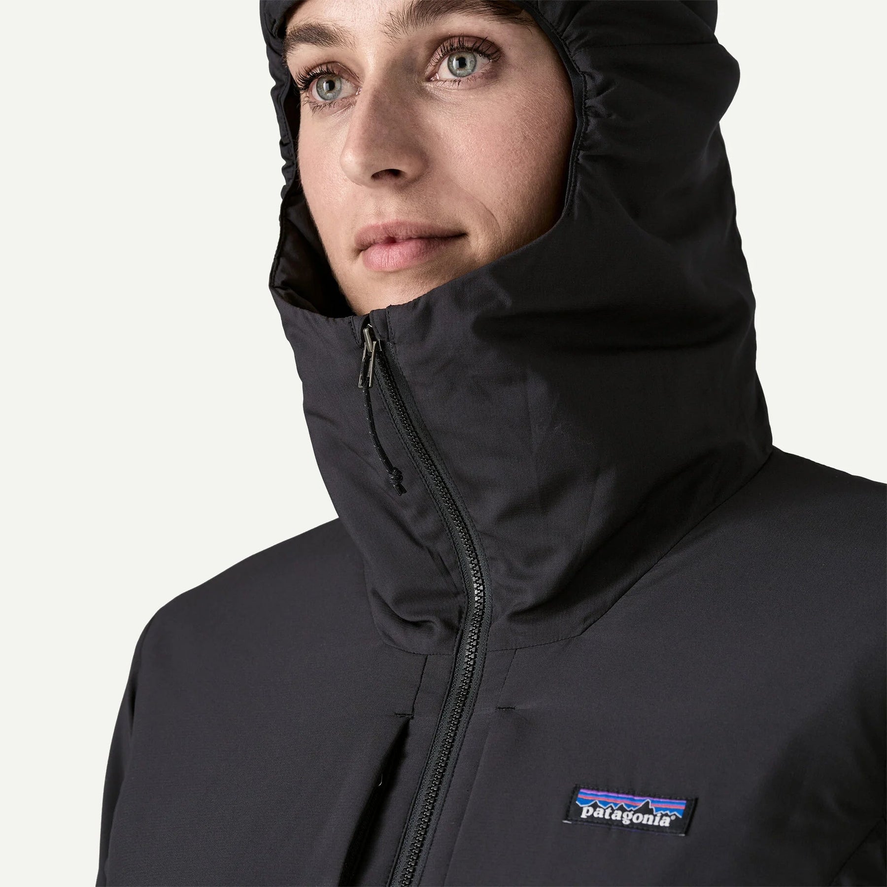 Patagonia W's Nano-Air® Hoody Patagonia