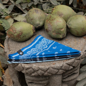 Bandana Towel: Paisley Stellar Blue Nomadix